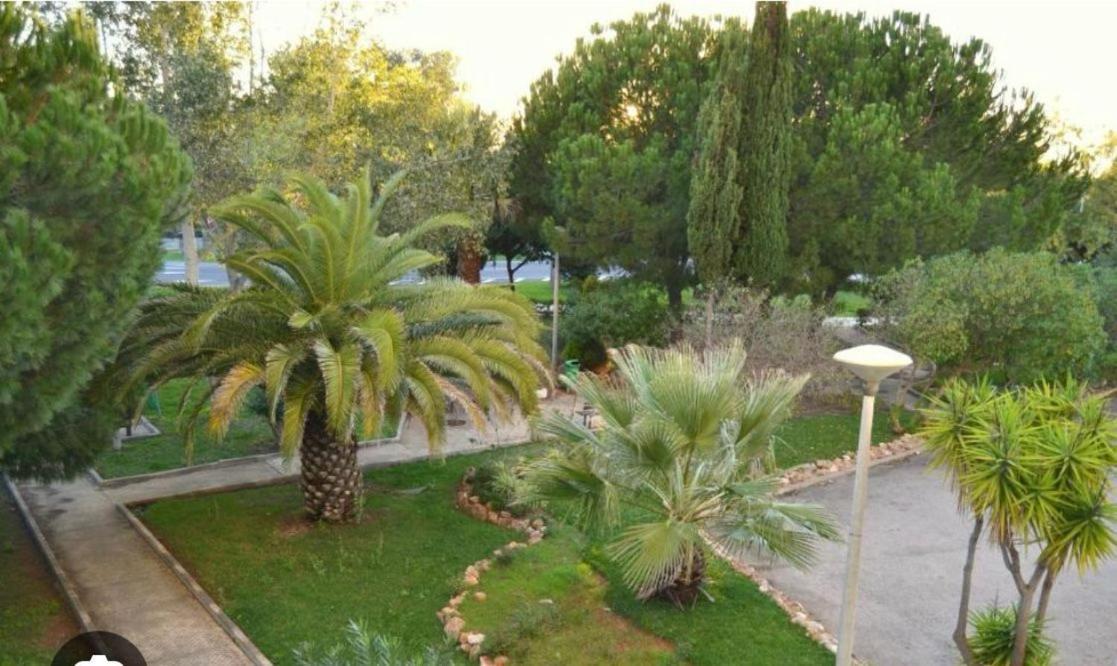 Spacious 1 Bed In Vilamoura, Fast Wifi & Pool *